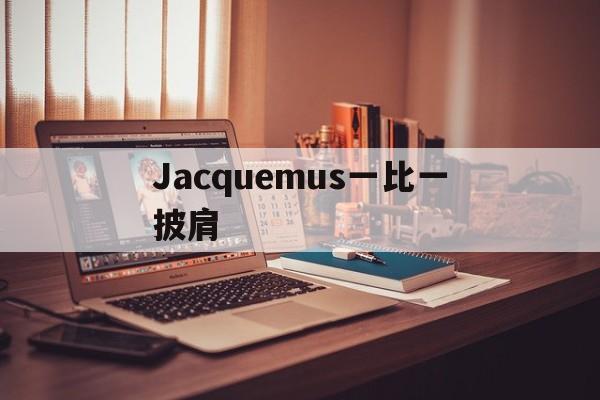 Копии брендовых сумок-Jacquemus один в один шаль [