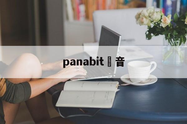 Копии сумок известных брендов интернет-магазин-pan