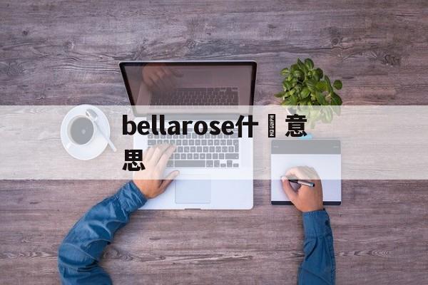Купить копии брендовых сумок-bellarose Что означае