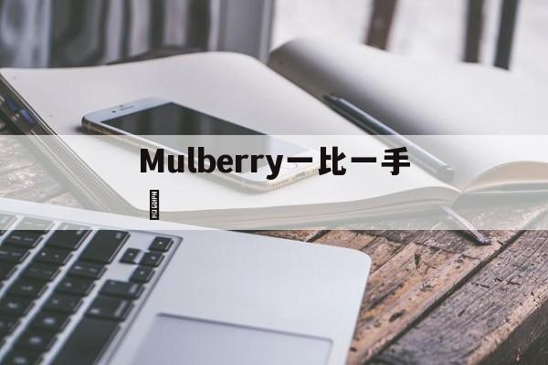 Копии магазин сумочки-Mulberry один к один браслет