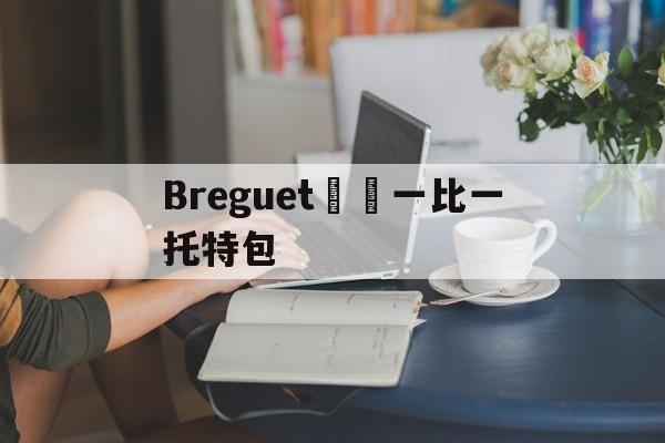 Копии магазин сумок-Breguet寶璣一比一托特包