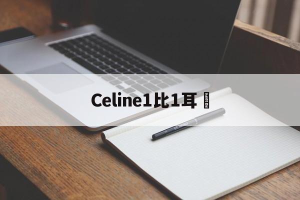 Копии брендовых сумок из натуральной кожи-Celine1比1耳釘
