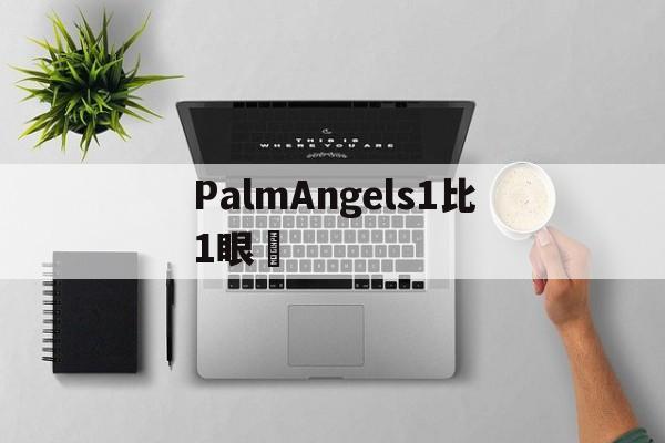 Replik известных брендов-PalmAngels 1 к 1 очки [Ро