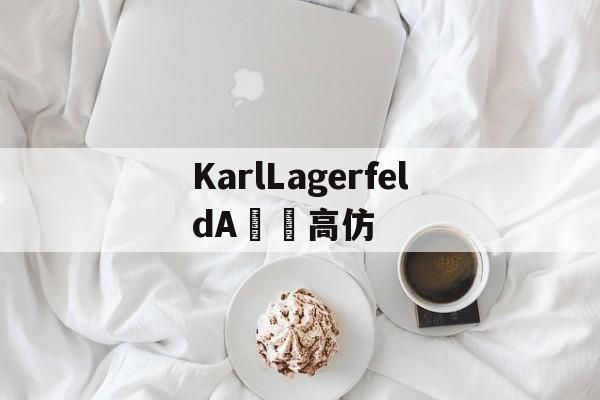 Копии люксовых брендов-KarlLagerfeldA товары высок