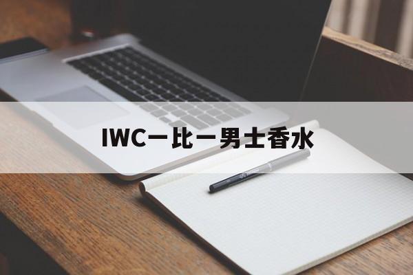 Купить копии брендовых сумочек - IWC One to One па