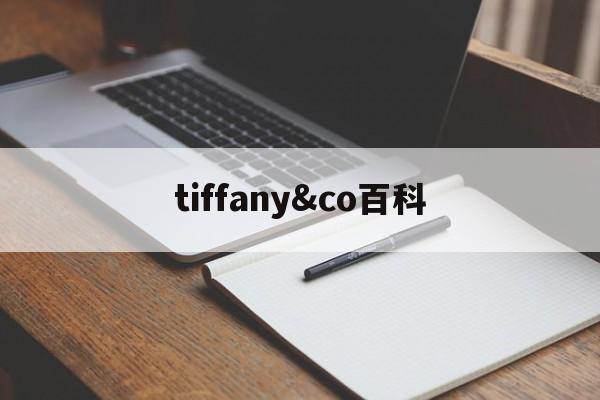 Купить женские брендовые копии - tiffany &amp; coE