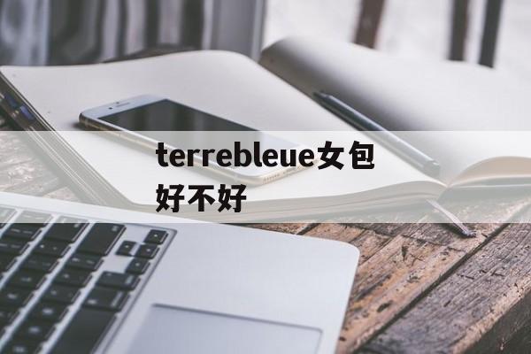 Копии брендовых сумок из натуральной кожи-terreble